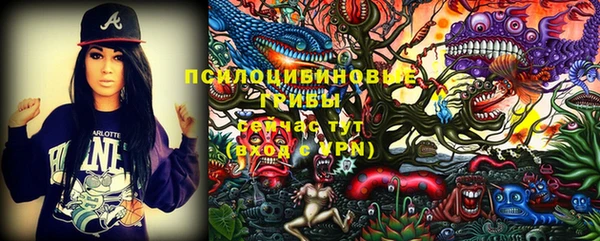 mdma Бородино